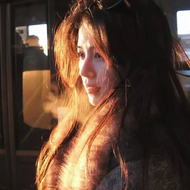 飞鸟集2021 在线观看